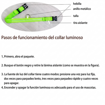 Collar LED para perros — Seguridad nocturna recargable