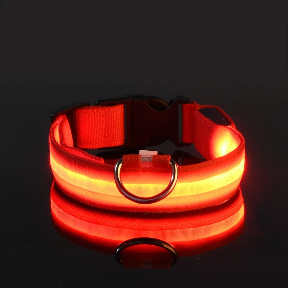 Collar LED para perros — Seguridad nocturna recargable