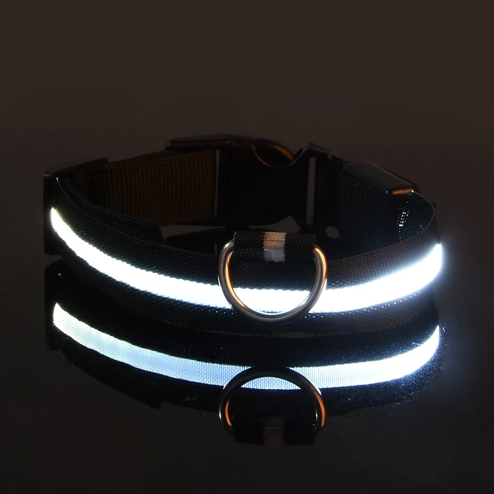 Collar LED para perros — Seguridad nocturna recargable