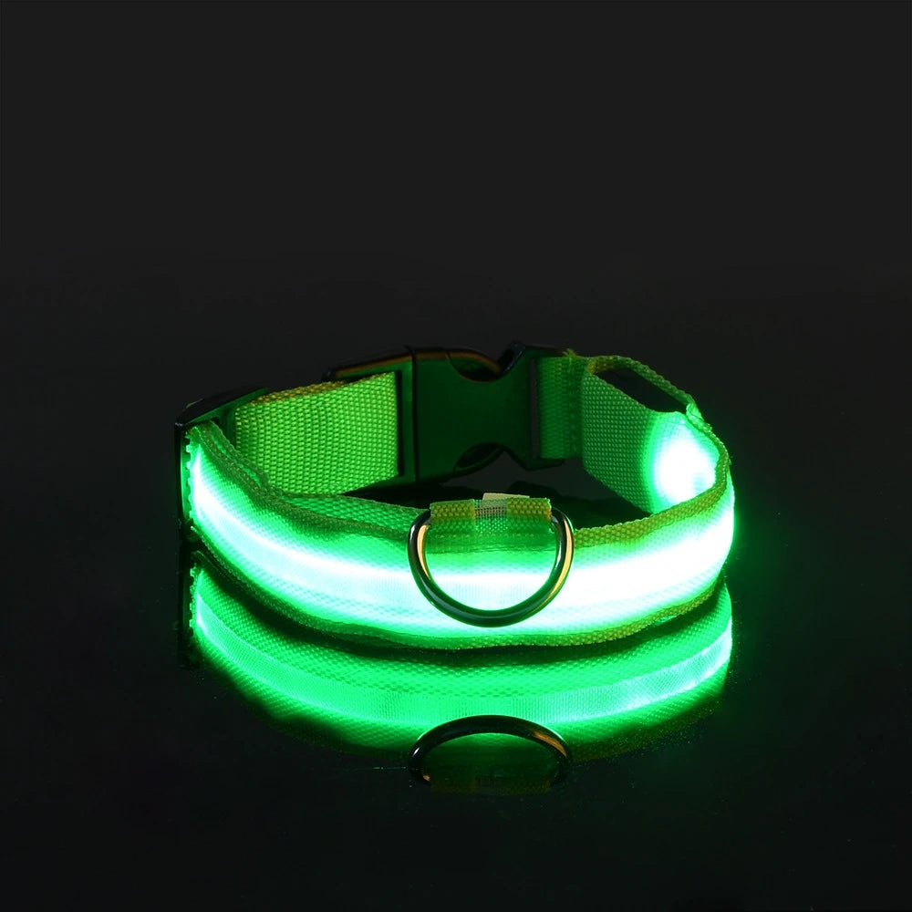 Collar LED para perros — Seguridad nocturna recargable