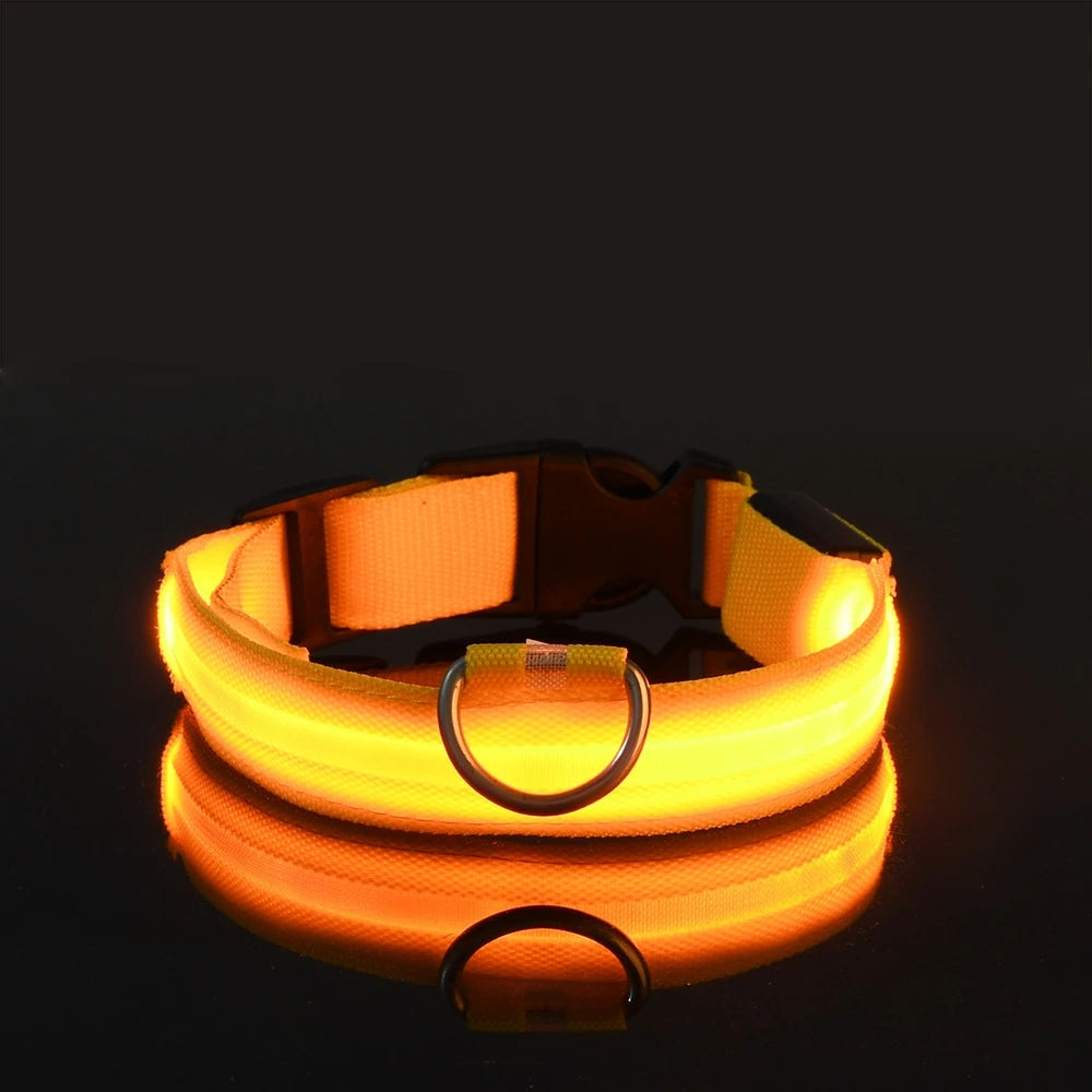 Collar LED para perros — Seguridad nocturna recargable