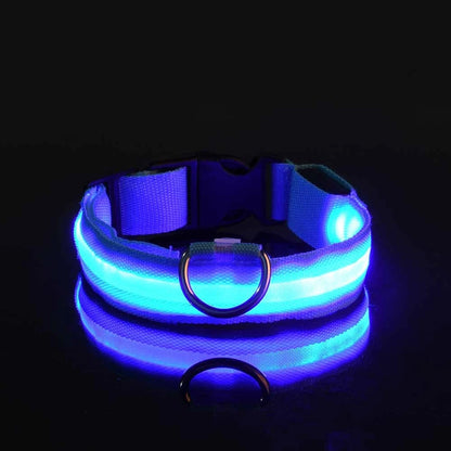 Collar LED para perros — Seguridad nocturna recargable