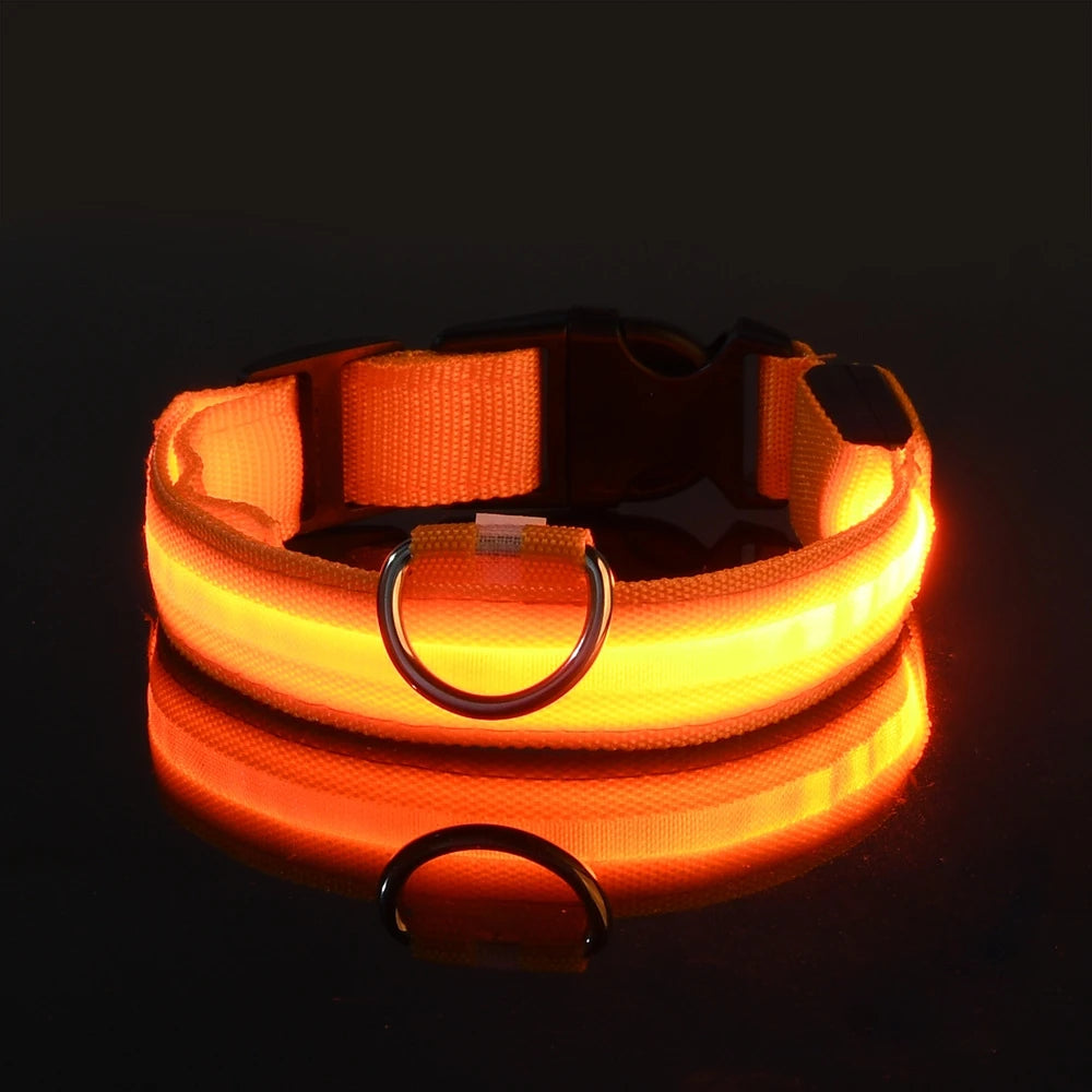 Collar LED para perros — Seguridad nocturna recargable