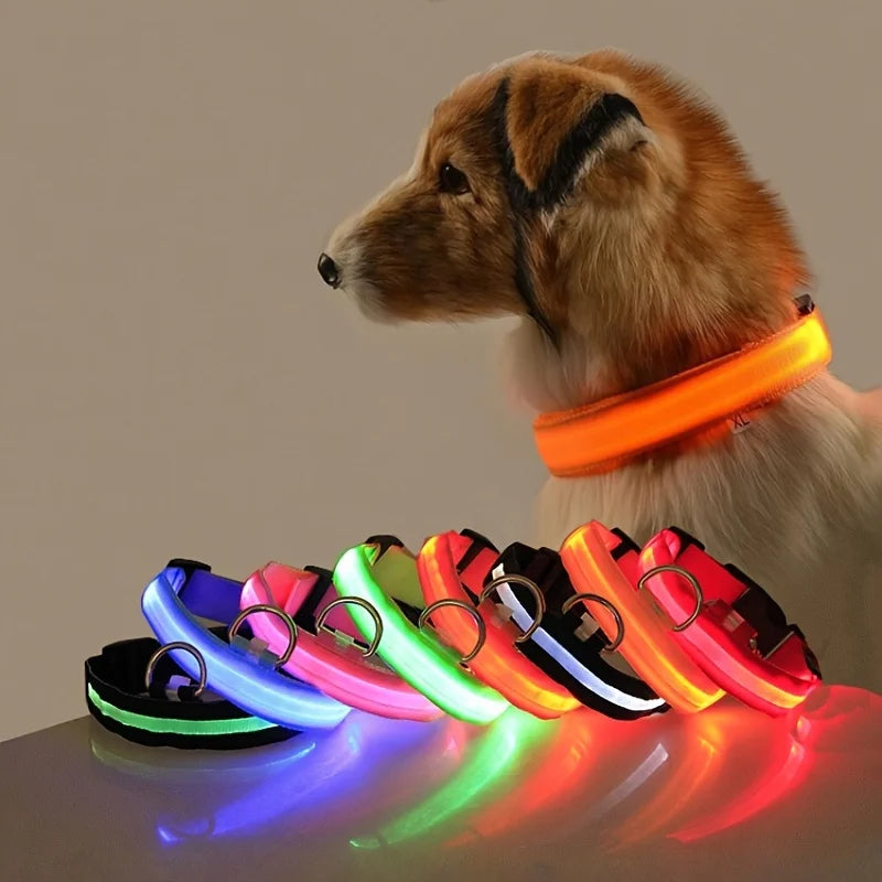 Collar LED para perros — Seguridad nocturna recargable