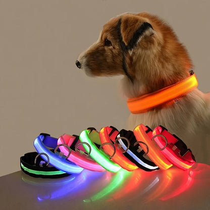 Collar LED para perros — Seguridad nocturna recargable