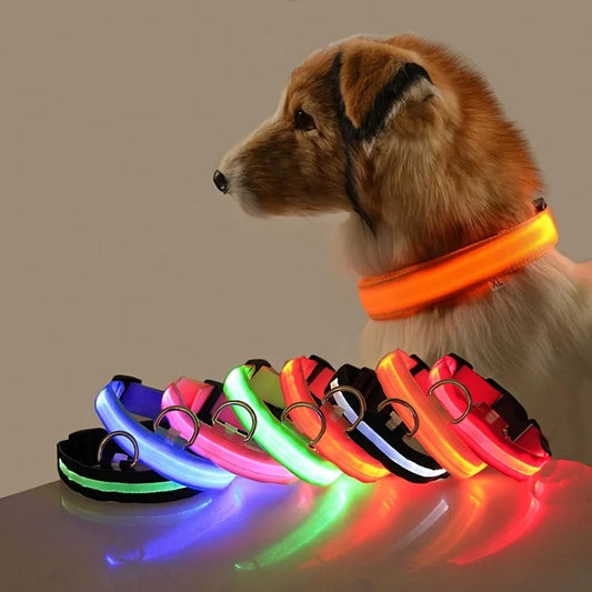 Collar LED para perros — Seguridad nocturna recargable