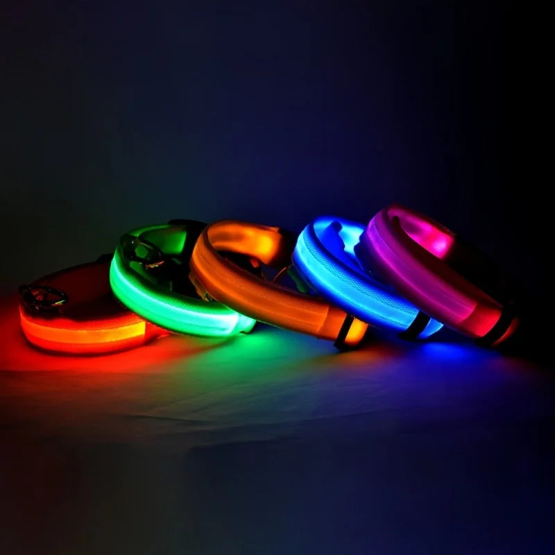 Collar LED para perros — Seguridad nocturna recargable