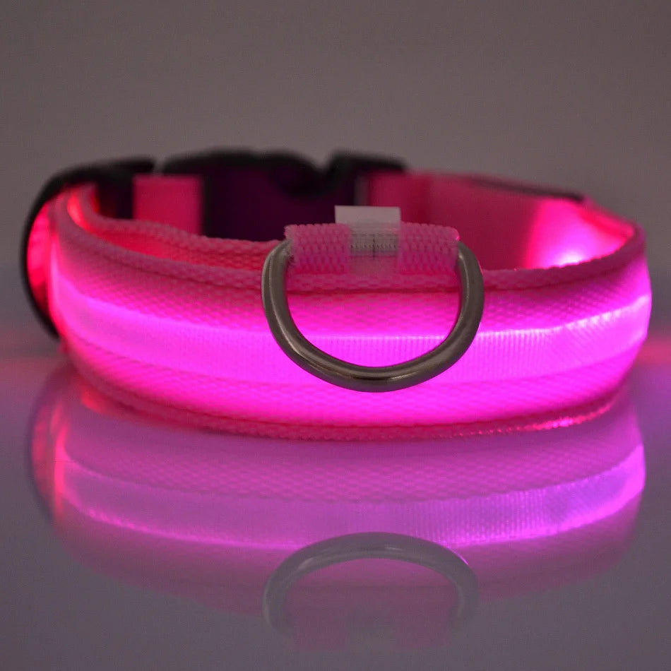 Collar LED para perros — Seguridad nocturna recargable