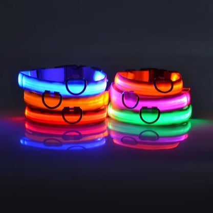 Collar LED para perros — Seguridad nocturna recargable