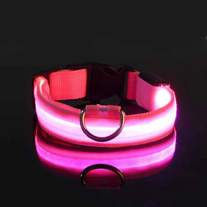 Collar LED para perros — Seguridad nocturna recargable
